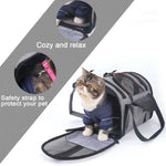 Multifunctional Foldable Pet Backpack – Expandable Travel Carrier WB Travel Store