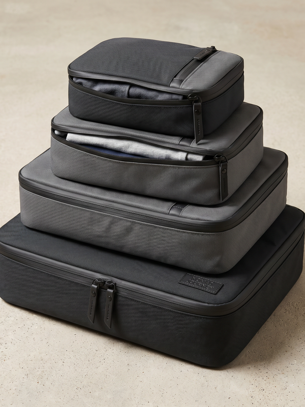 Security & Organization